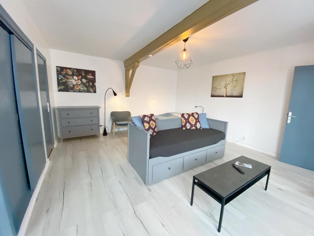 015 Chic & Cosy Studio 41M2 Hypercentre Wifi Smart Tv Netflix Saint-Etienne  Exterior foto