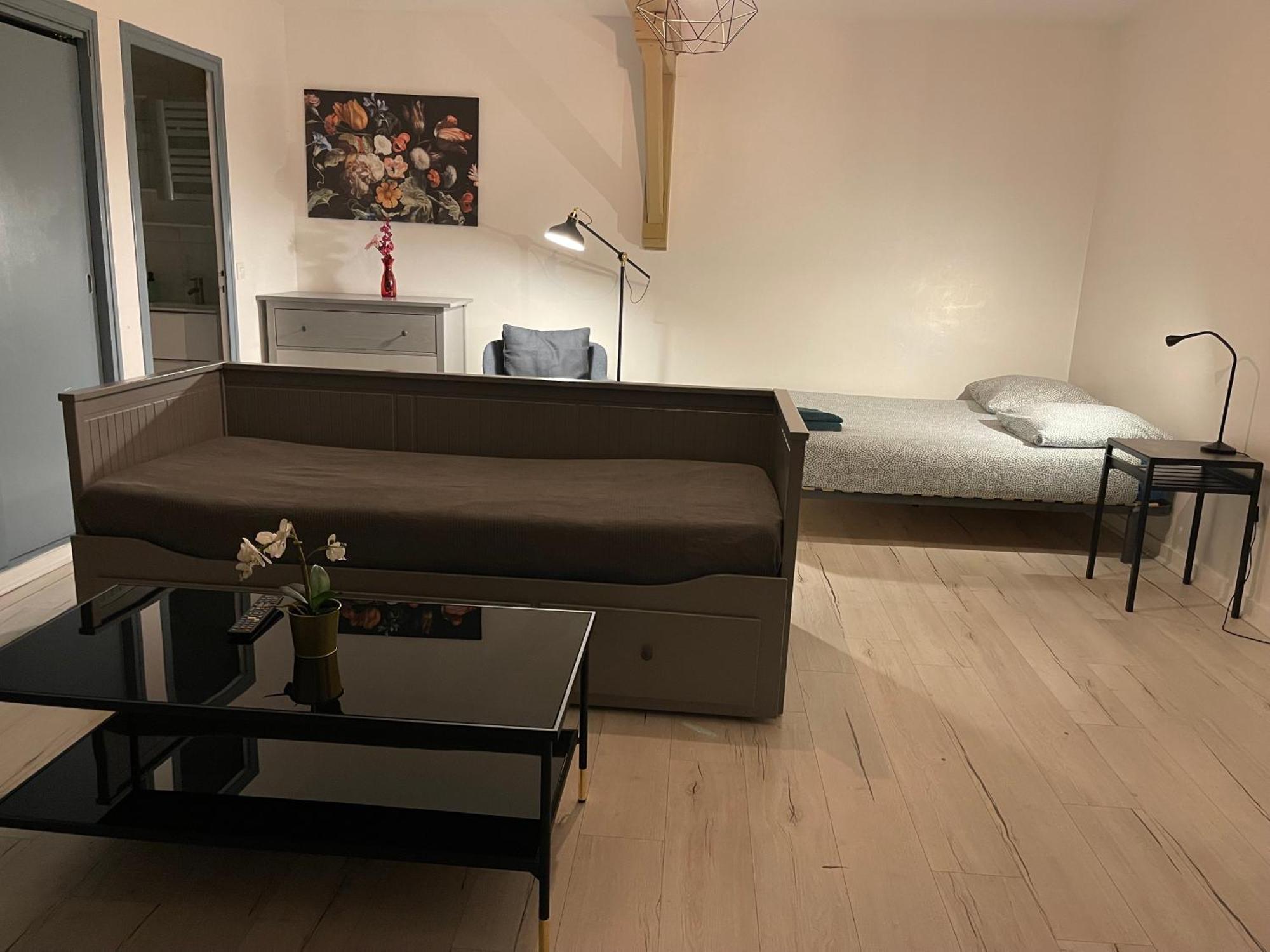 015 Chic & Cosy Studio 41M2 Hypercentre Wifi Smart Tv Netflix Saint-Etienne  Exterior foto